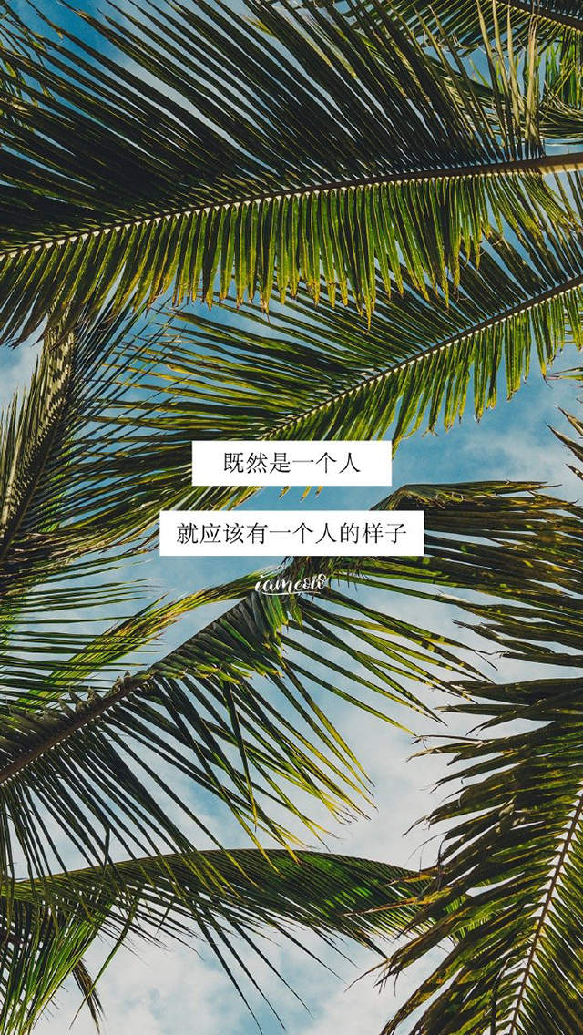 唯美海边风景图片手机壁纸图片