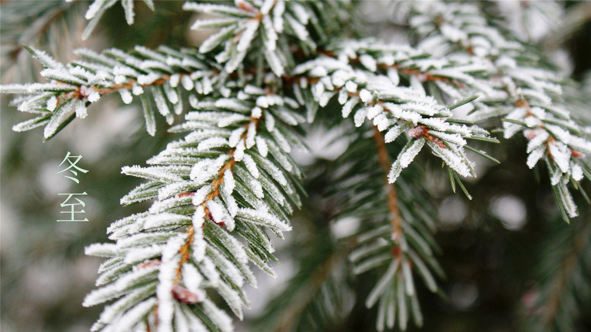 雪景图片