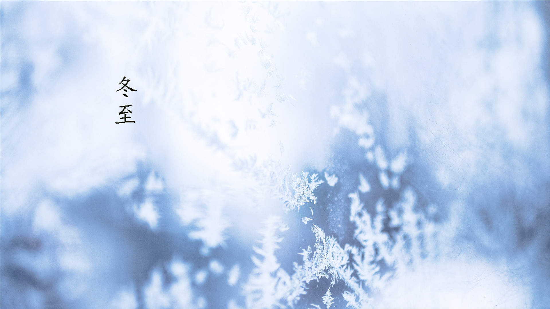 清新唯美雪景图手机壁纸图片