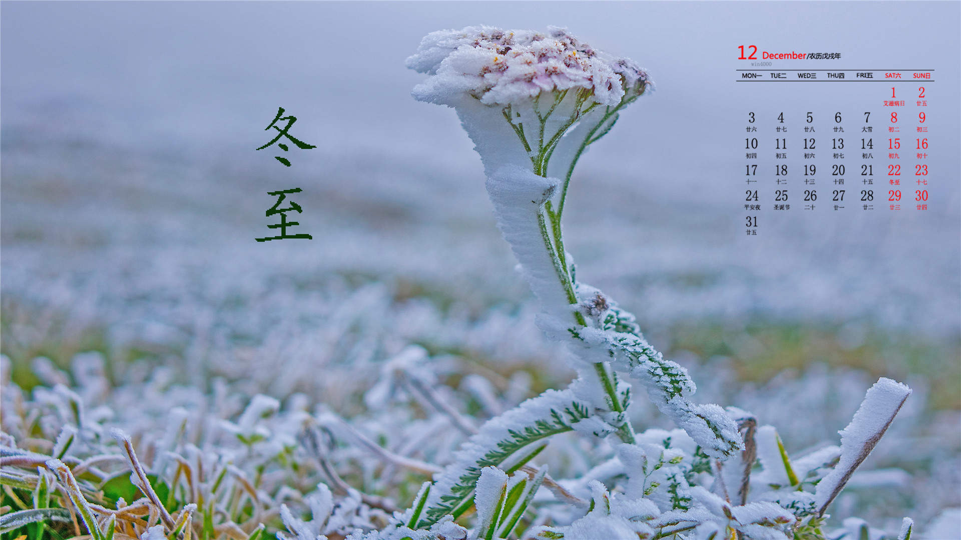 清新唯美雪景图手机壁纸图片