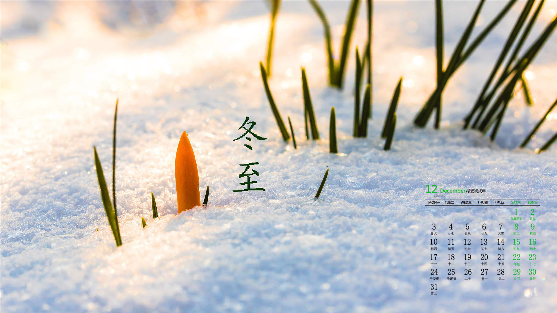 雪景图片