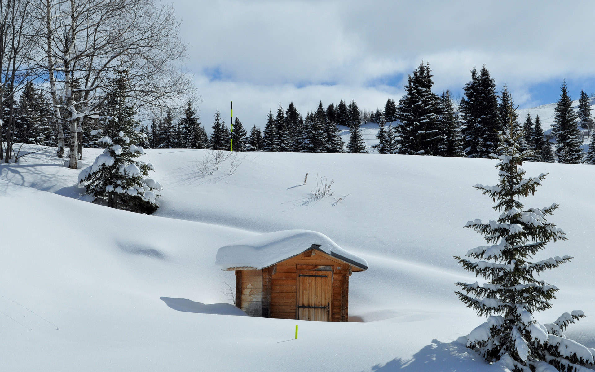 郑秀妍日本函馆冬日雪景唯美写真图片图片