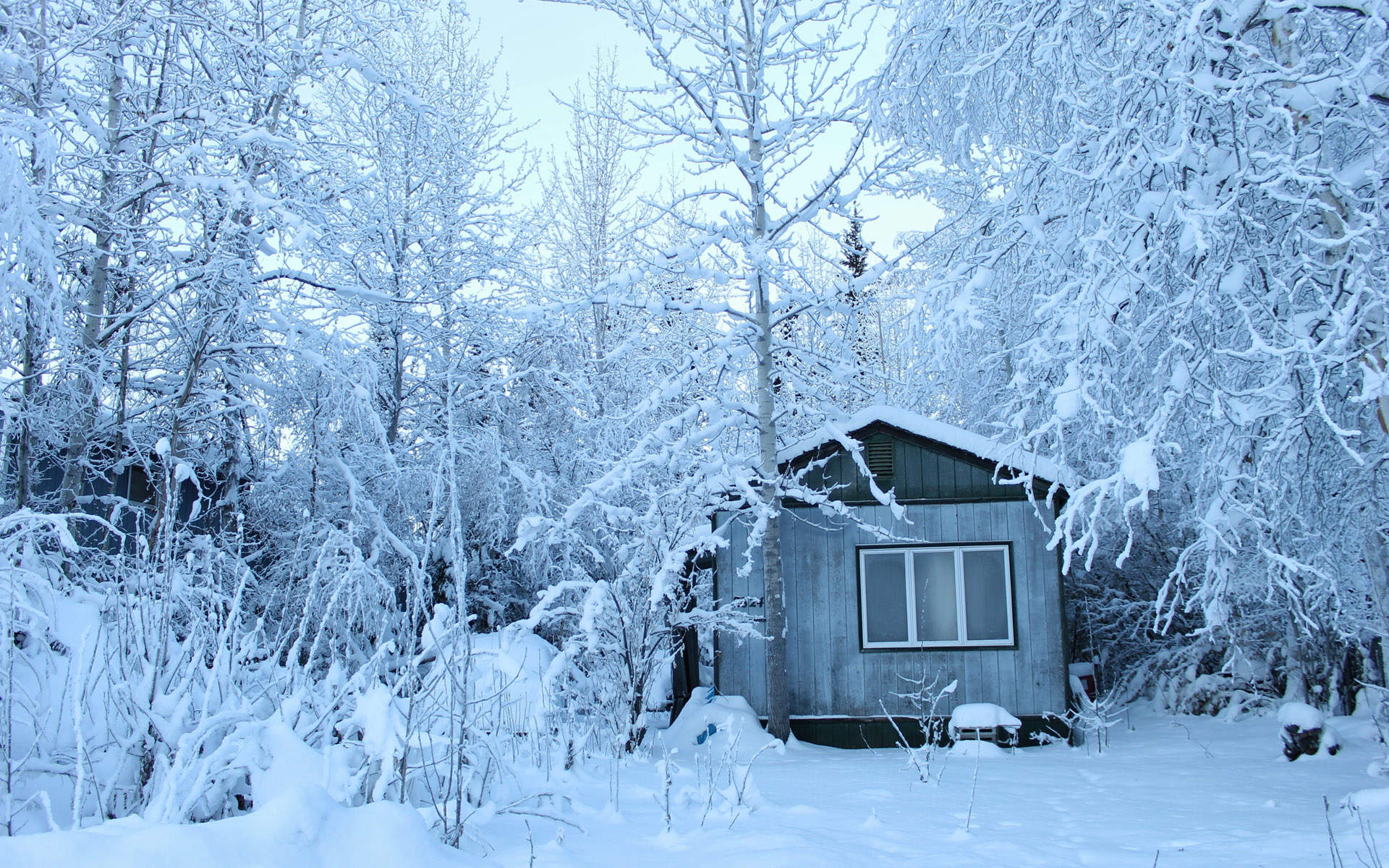 郑秀妍日本函馆冬日雪景唯美写真图片图片