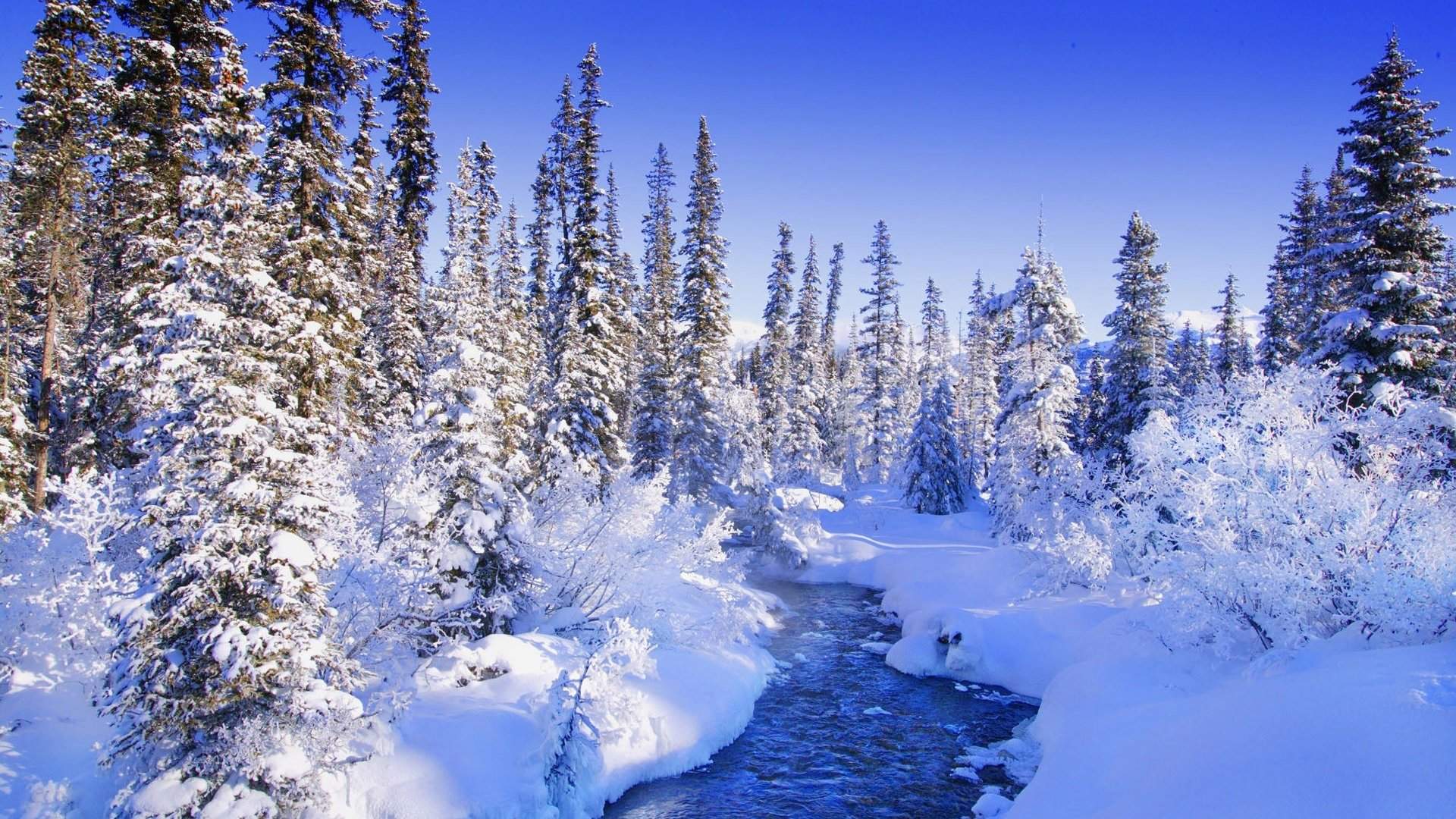 郑秀妍日本函馆冬日雪景唯美写真图片图片