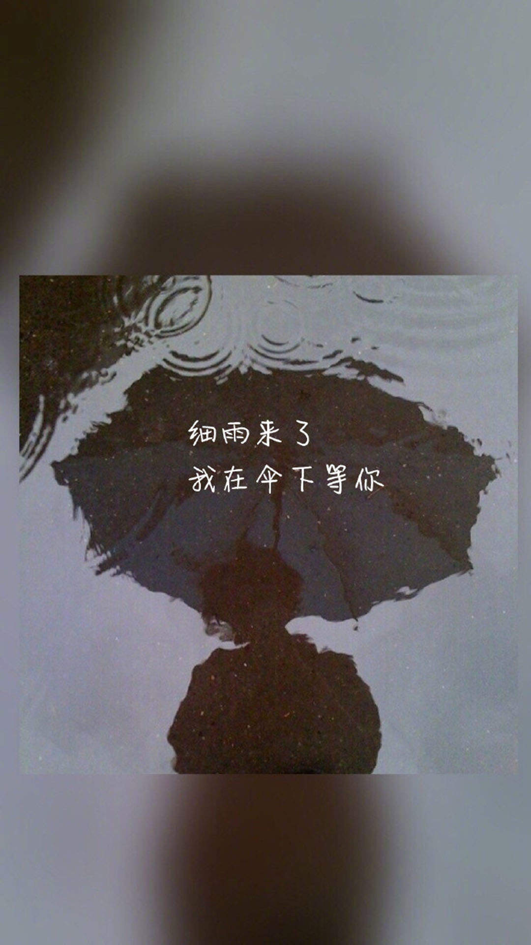 清新文字控文艺风手机壁纸图片