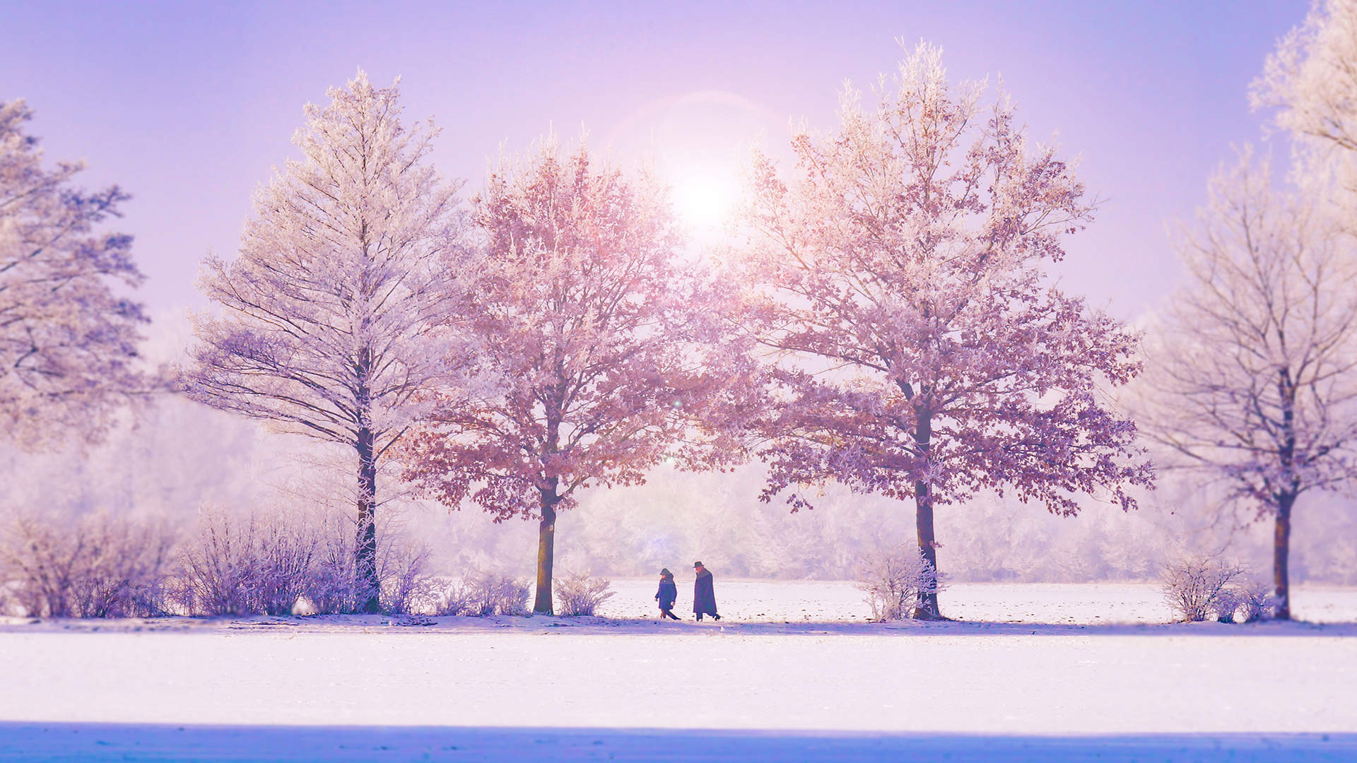 雪景图片