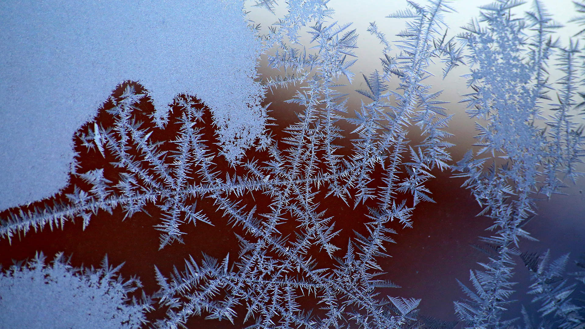 清新唯美雪景图手机壁纸图片