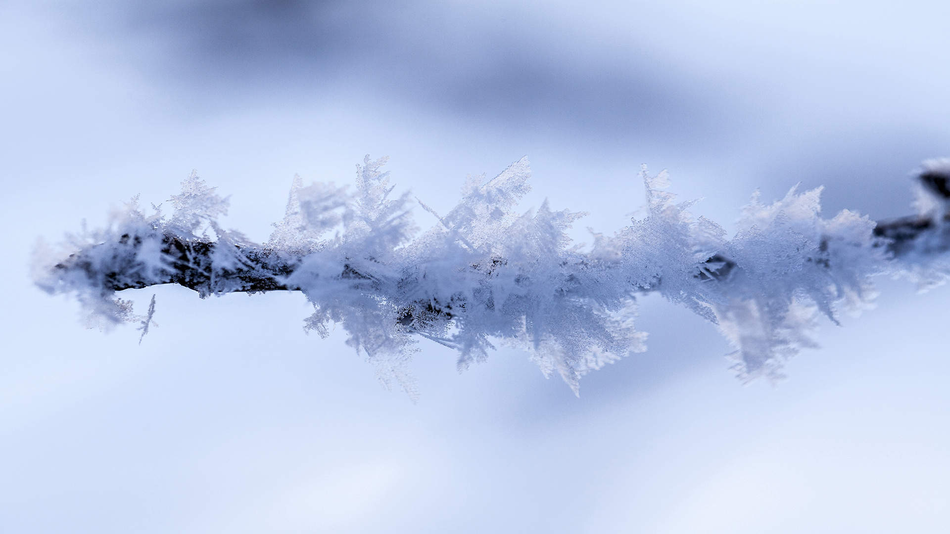 雪景图片