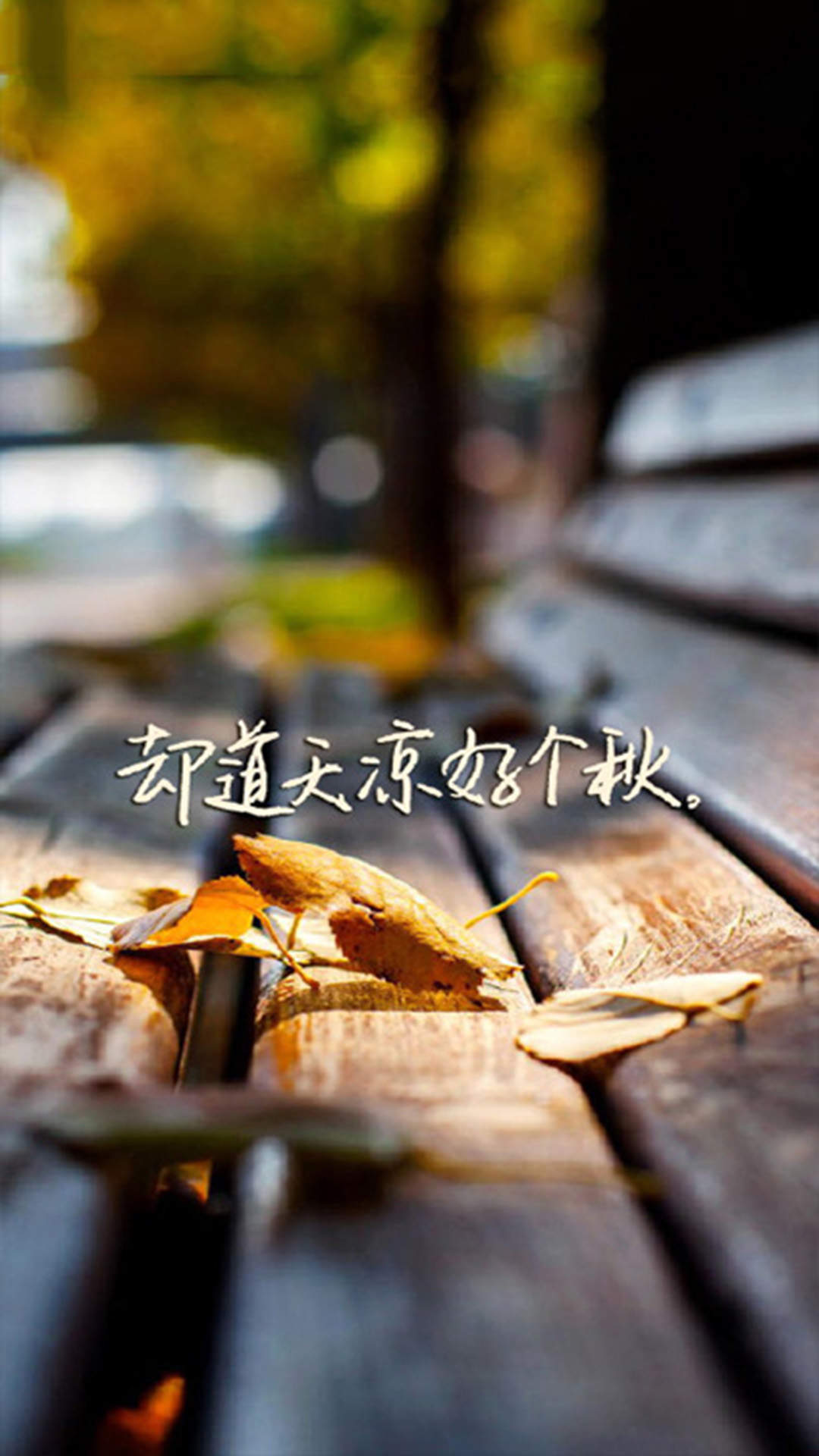 清新文字控文艺风手机壁纸图片