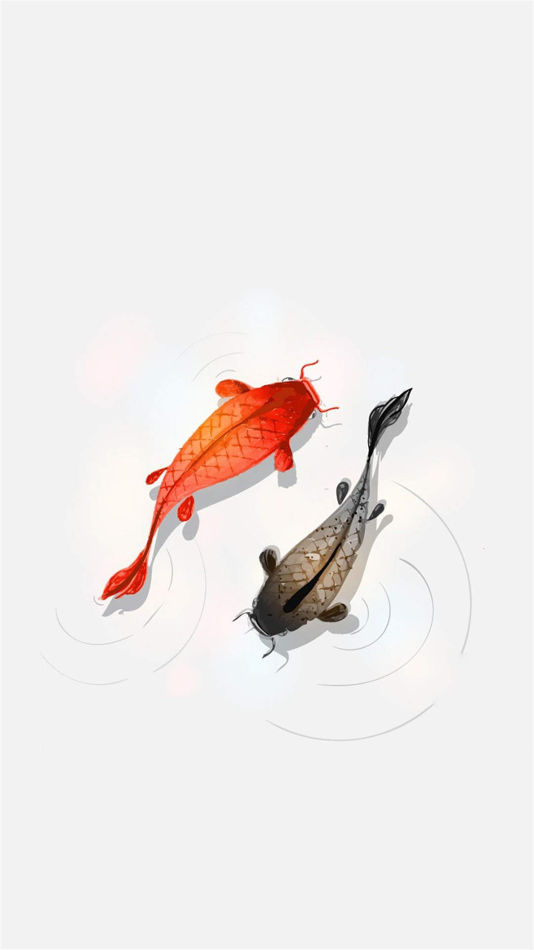 淡水鱼图片