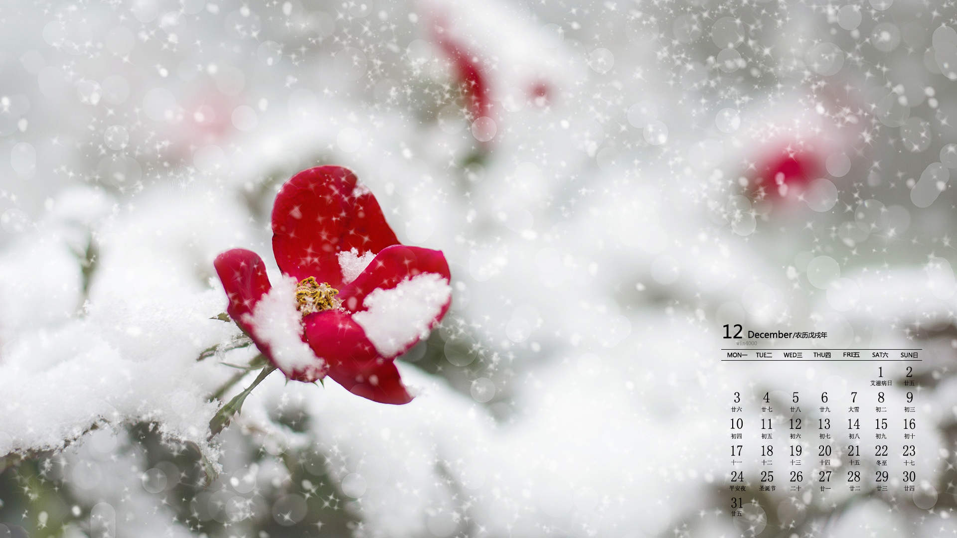 清新唯美雪景图手机壁纸图片
