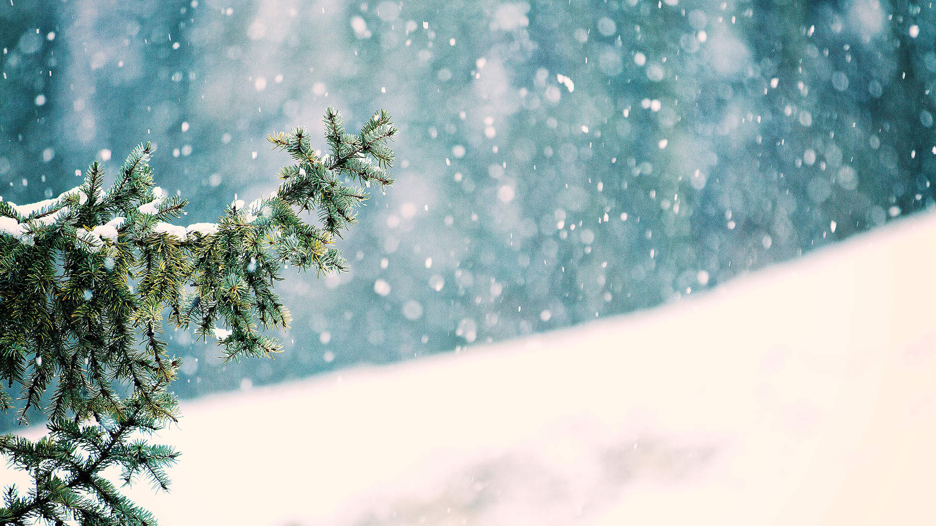 雪景图片