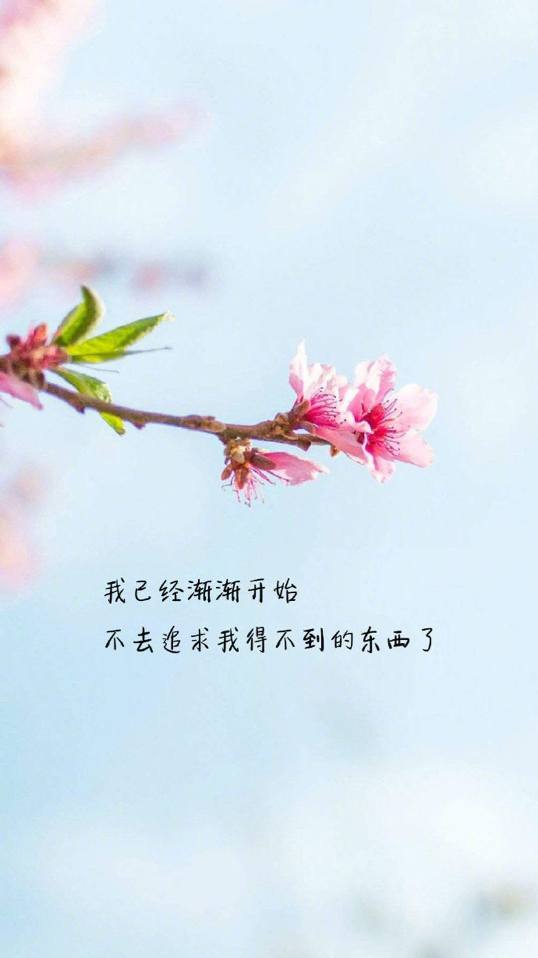 蓝色简约文字控文艺风手机壁纸图片