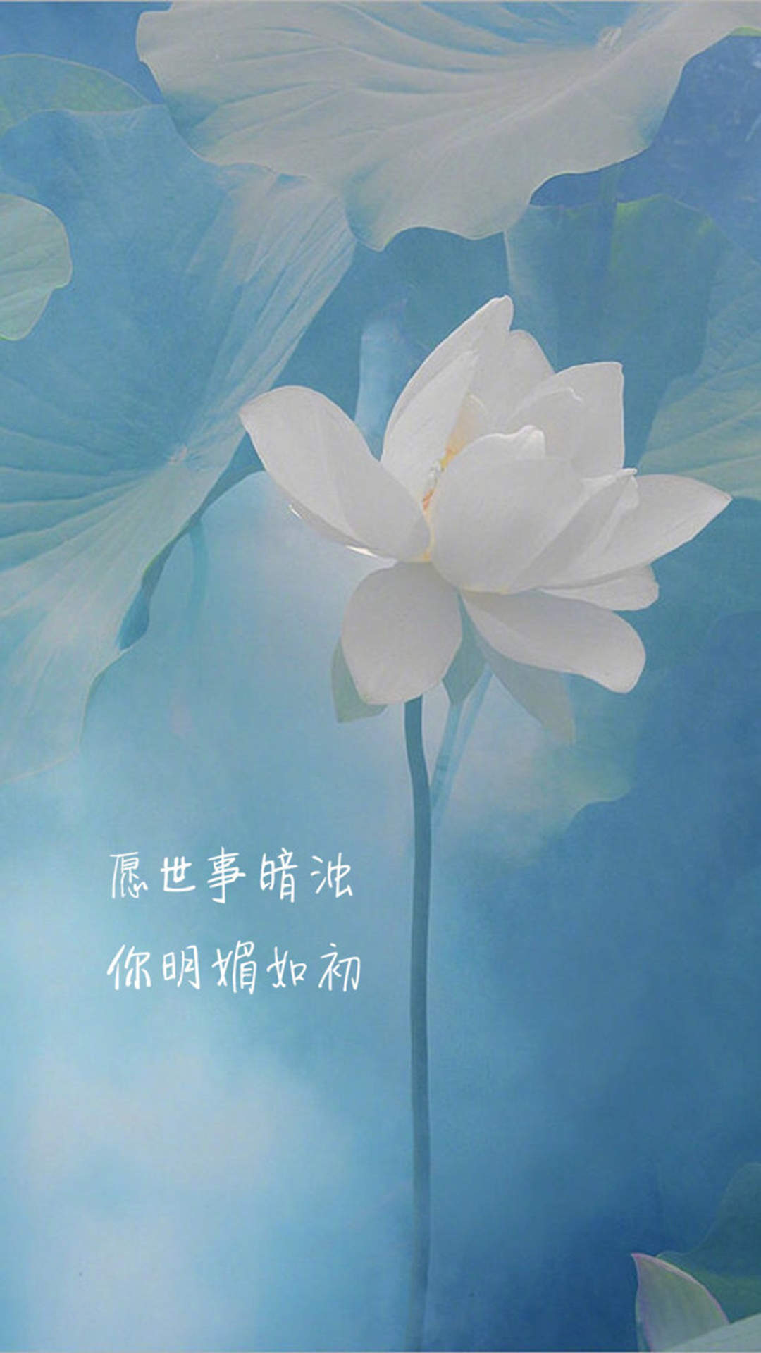 精选简单个性非主流伤感的文字图片高清手机壁纸下载图片