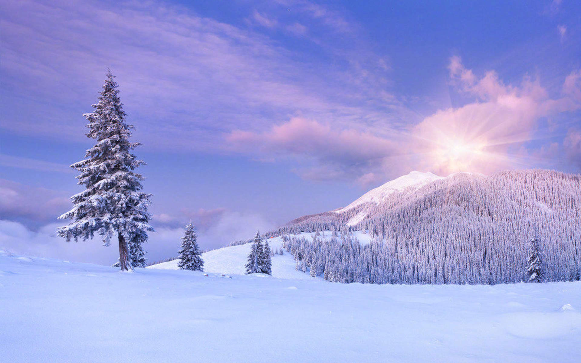 清新唯美雪景图手机壁纸图片