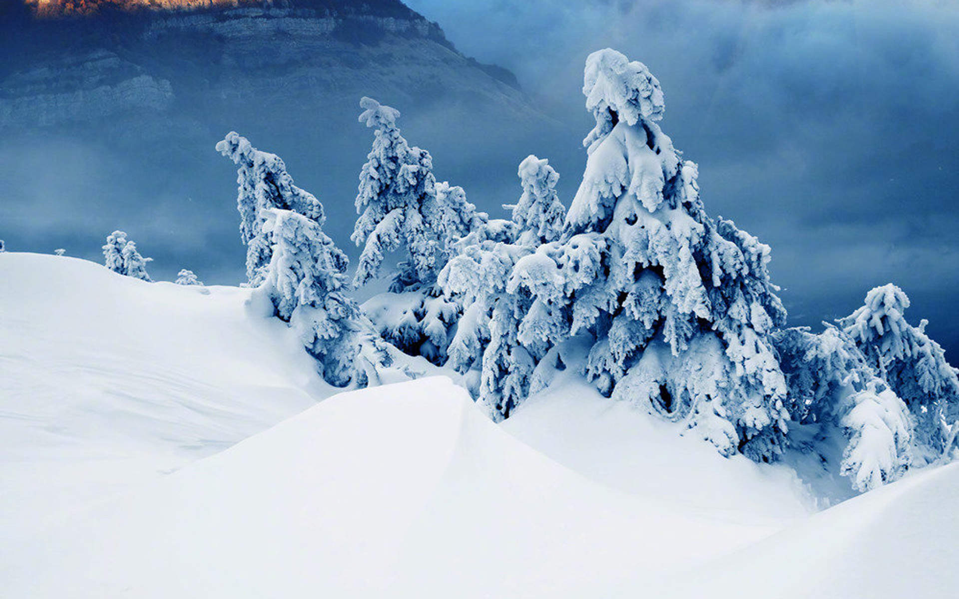 雪景图片