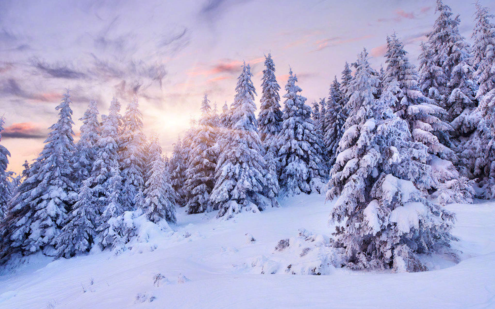 雪景图片