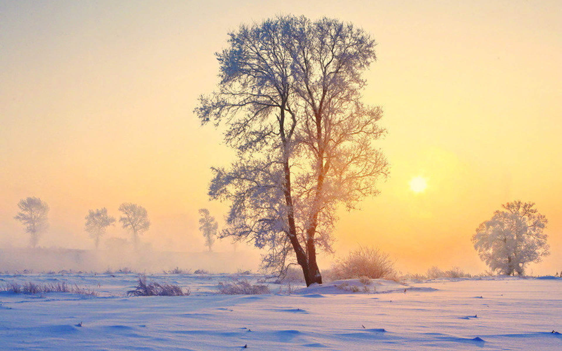 雪景图片