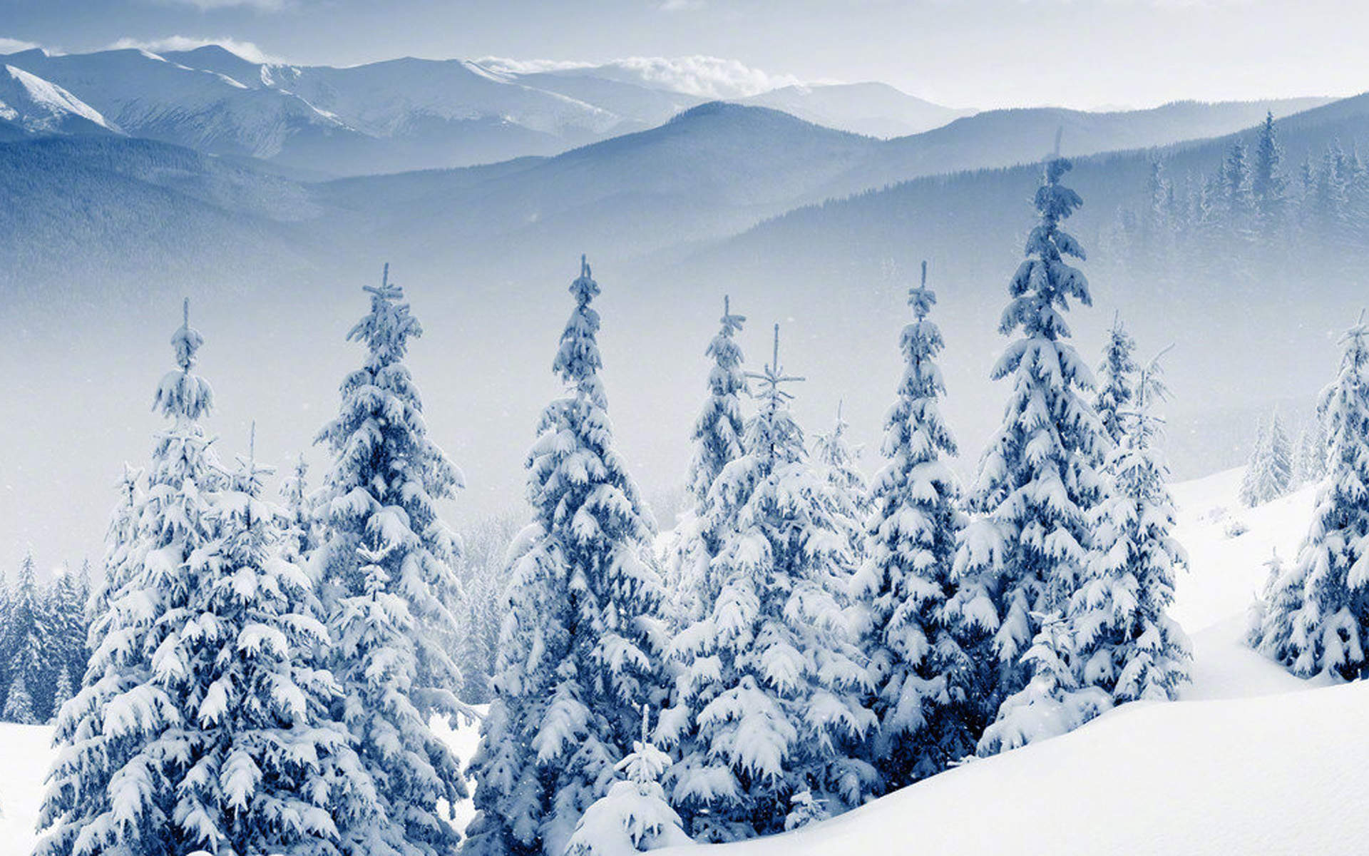 清新唯美雪景图手机壁纸图片