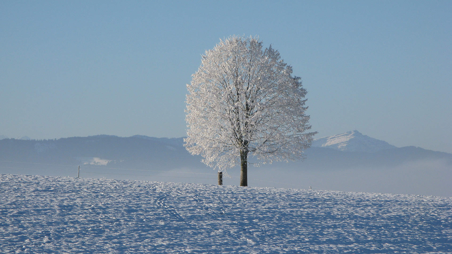 郑秀妍日本函馆冬日雪景唯美写真图片图片