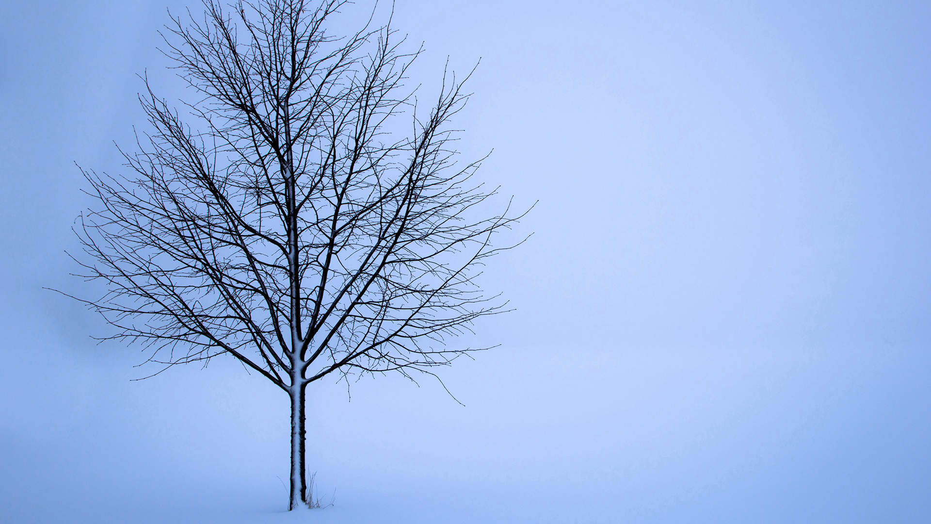 郑秀妍日本函馆冬日雪景唯美写真图片图片