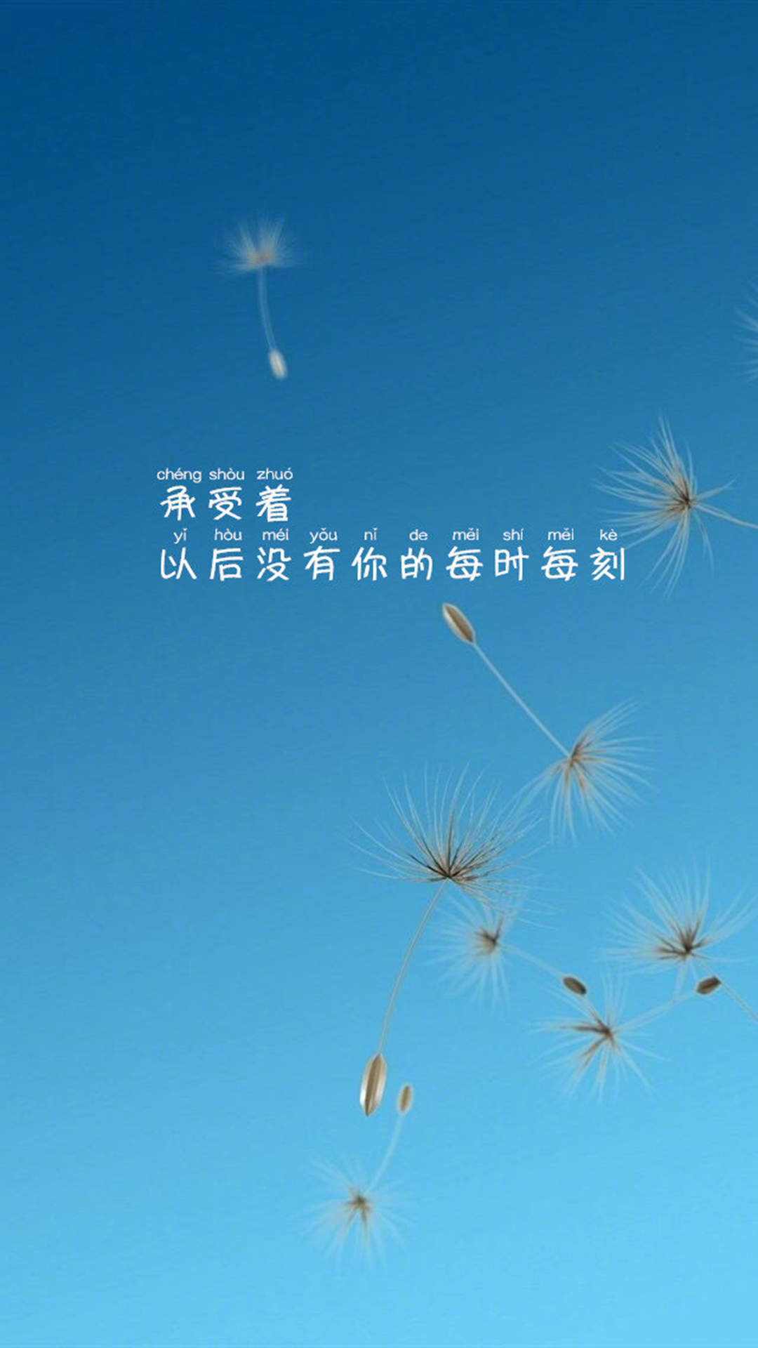 清新文字控文艺风手机壁纸图片