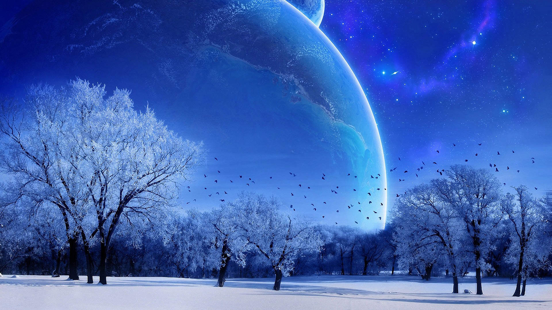 雪景图片
