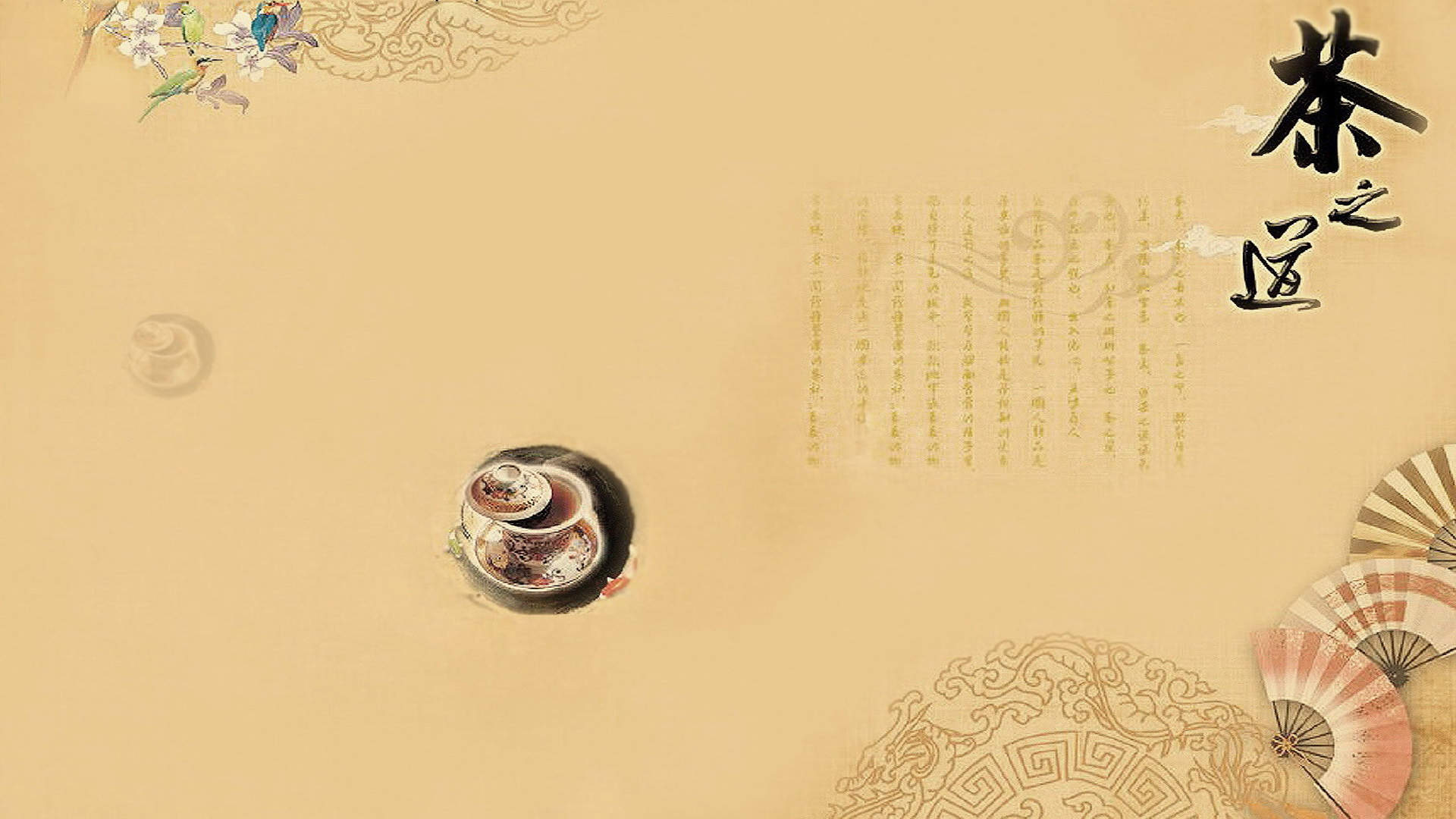 孟子义清新淡雅写真图片图片