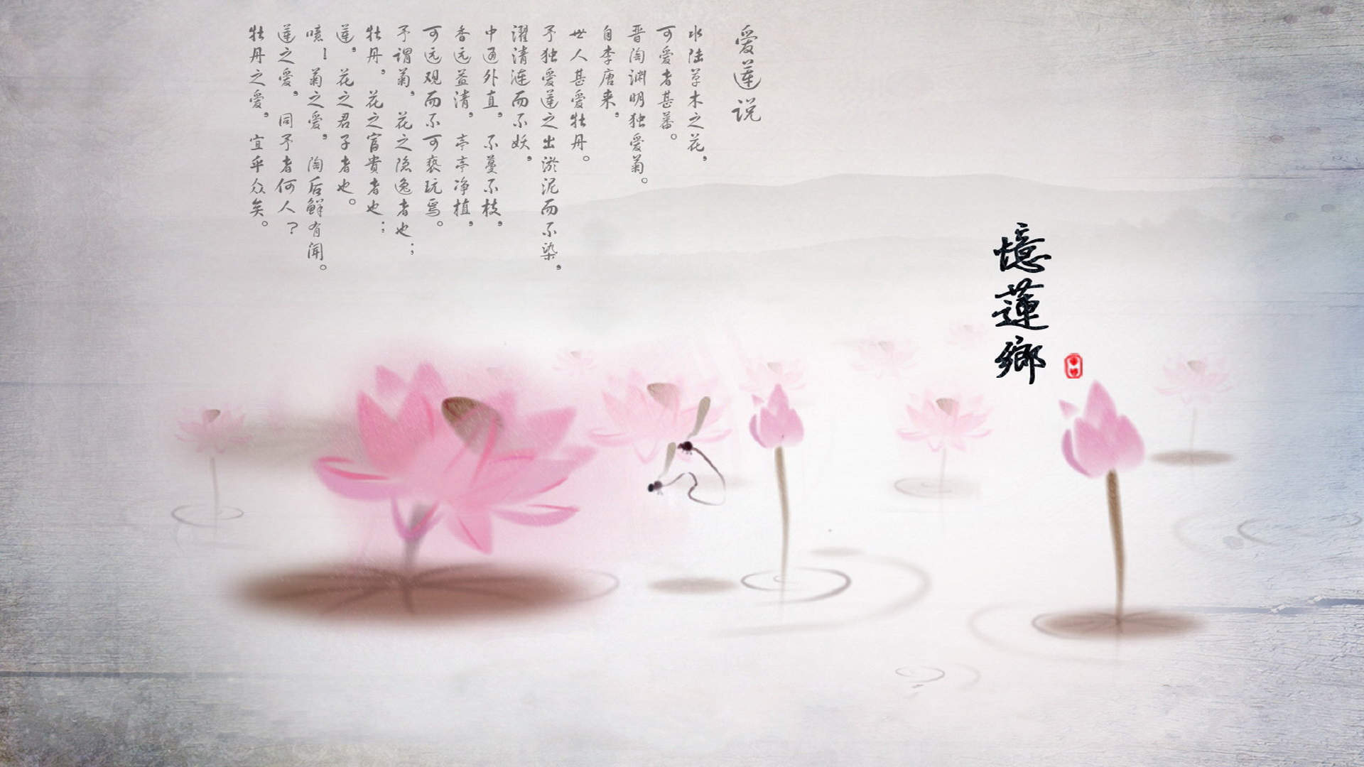 张静初清新淡雅写真图片图片