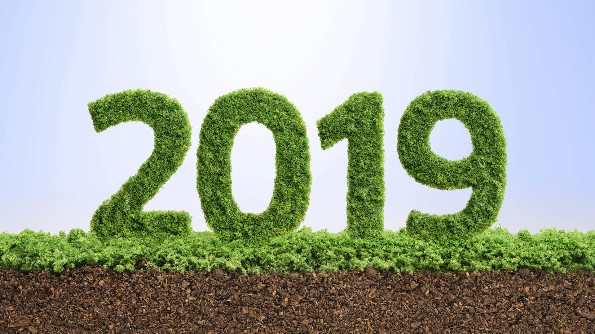 2019简约数字创意桌面壁纸图片