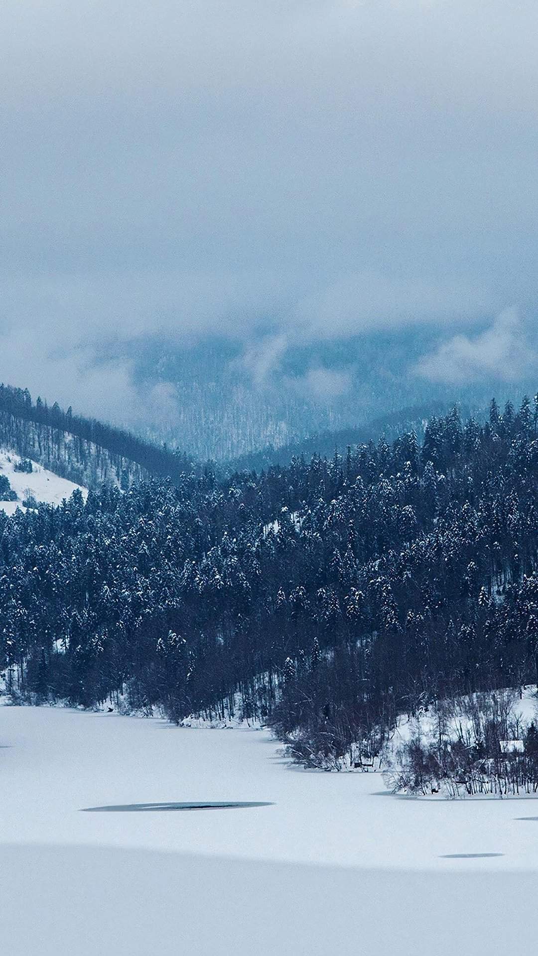 雪景图片