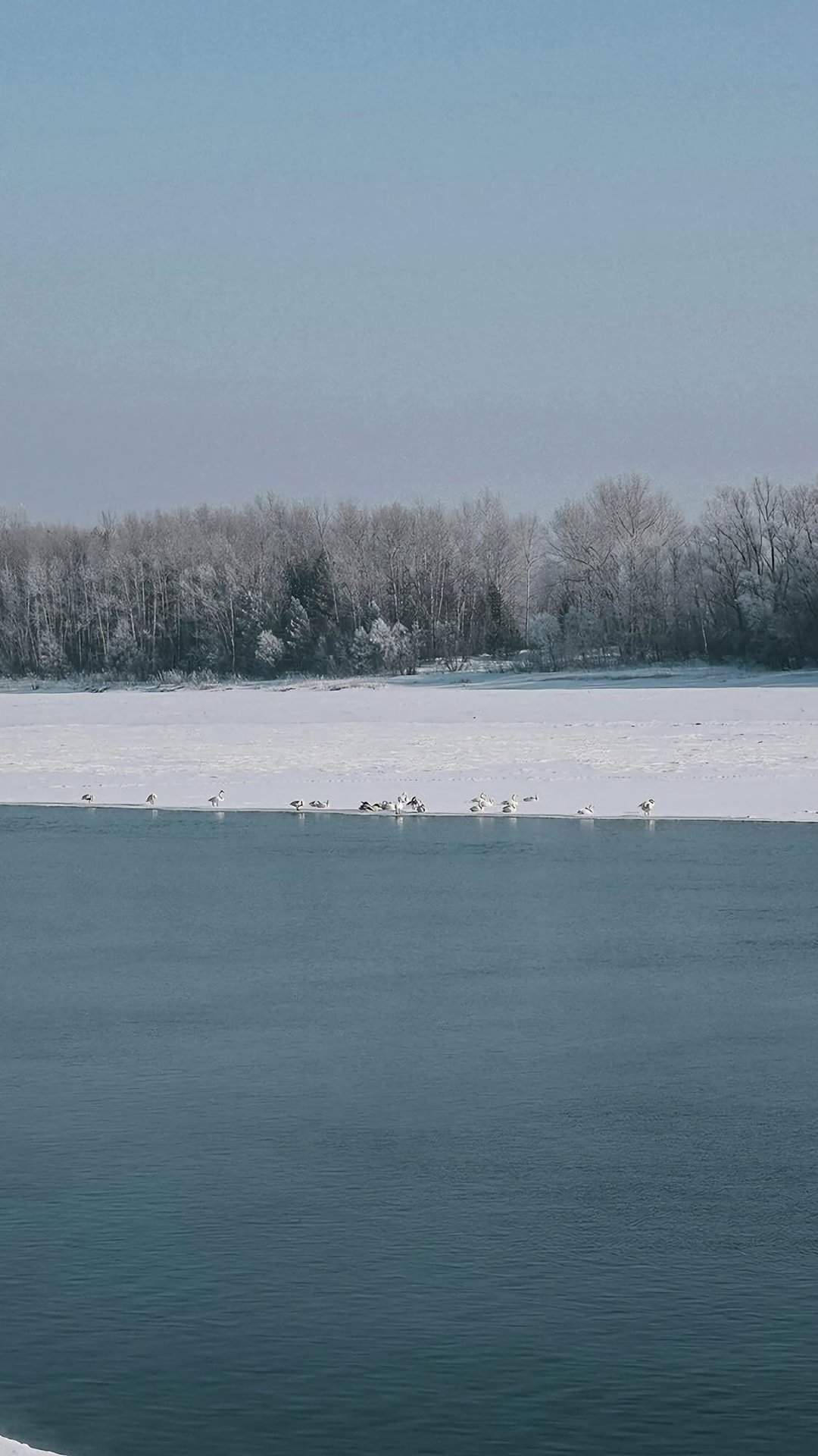雪景图片