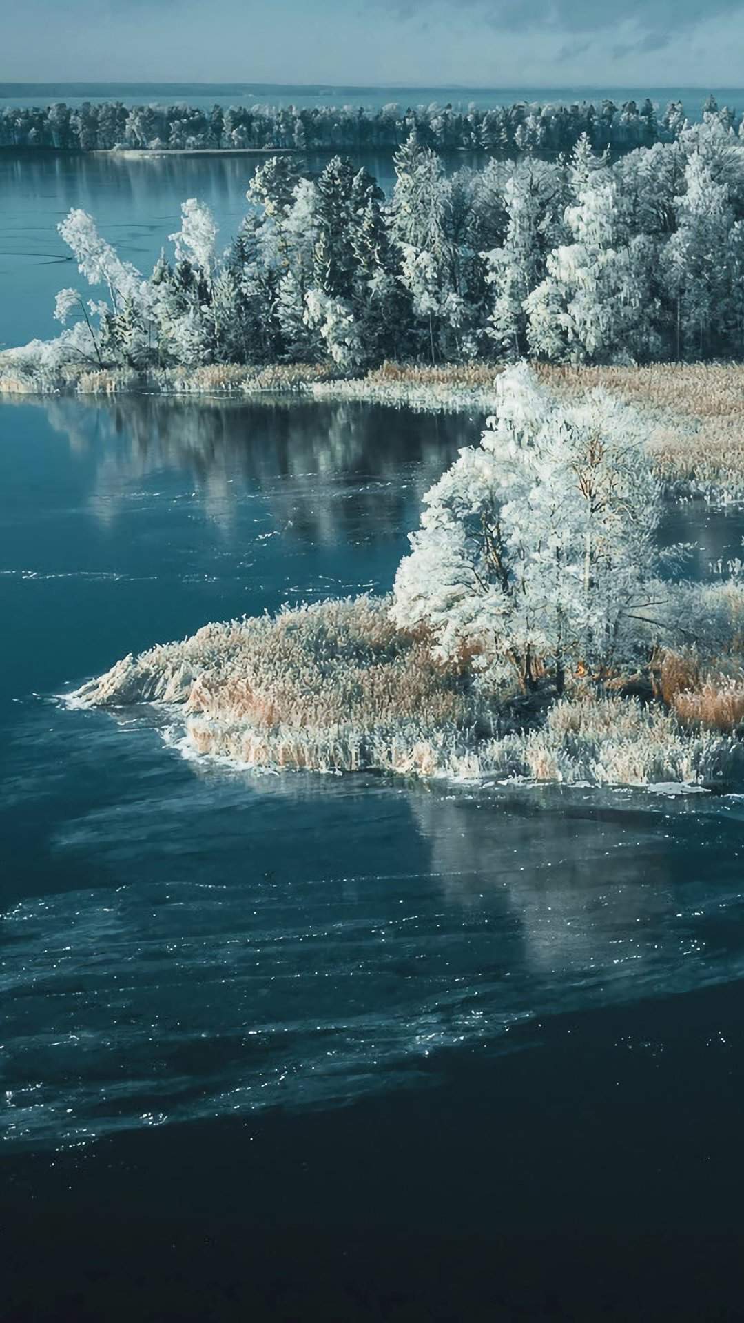 雪景图片