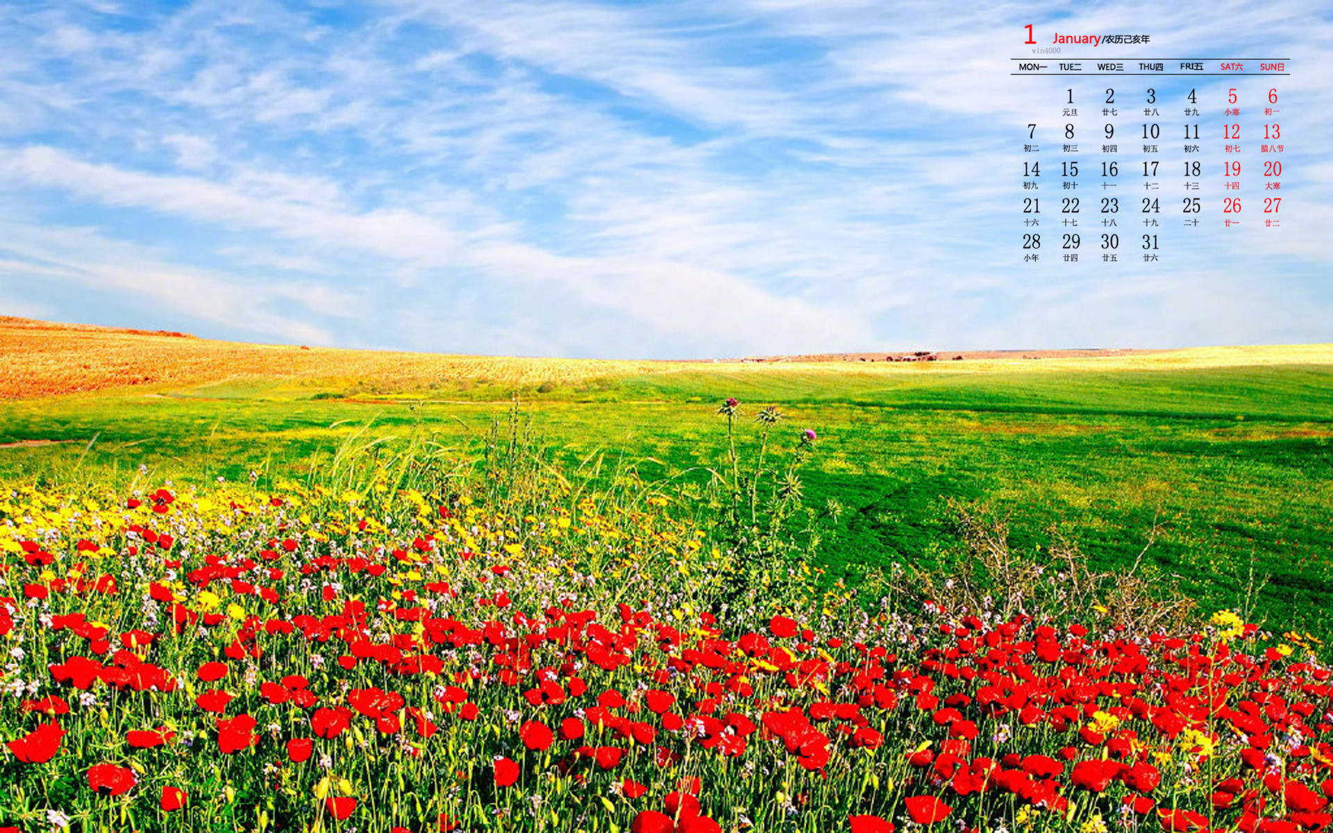 24节气大暑唯美风景图片图片