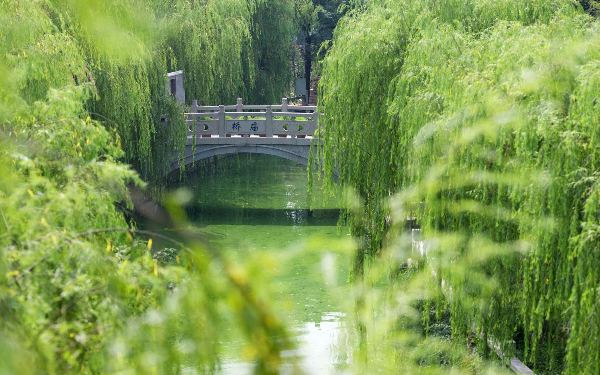 大自然唯美风景图片手机壁纸图片