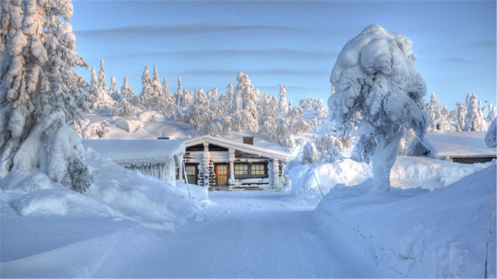 雪景图片