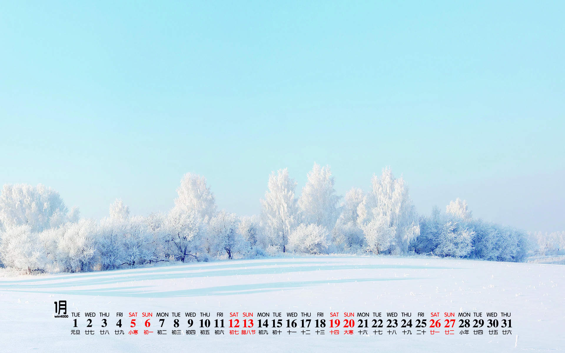 清新唯美雪景图手机壁纸图片