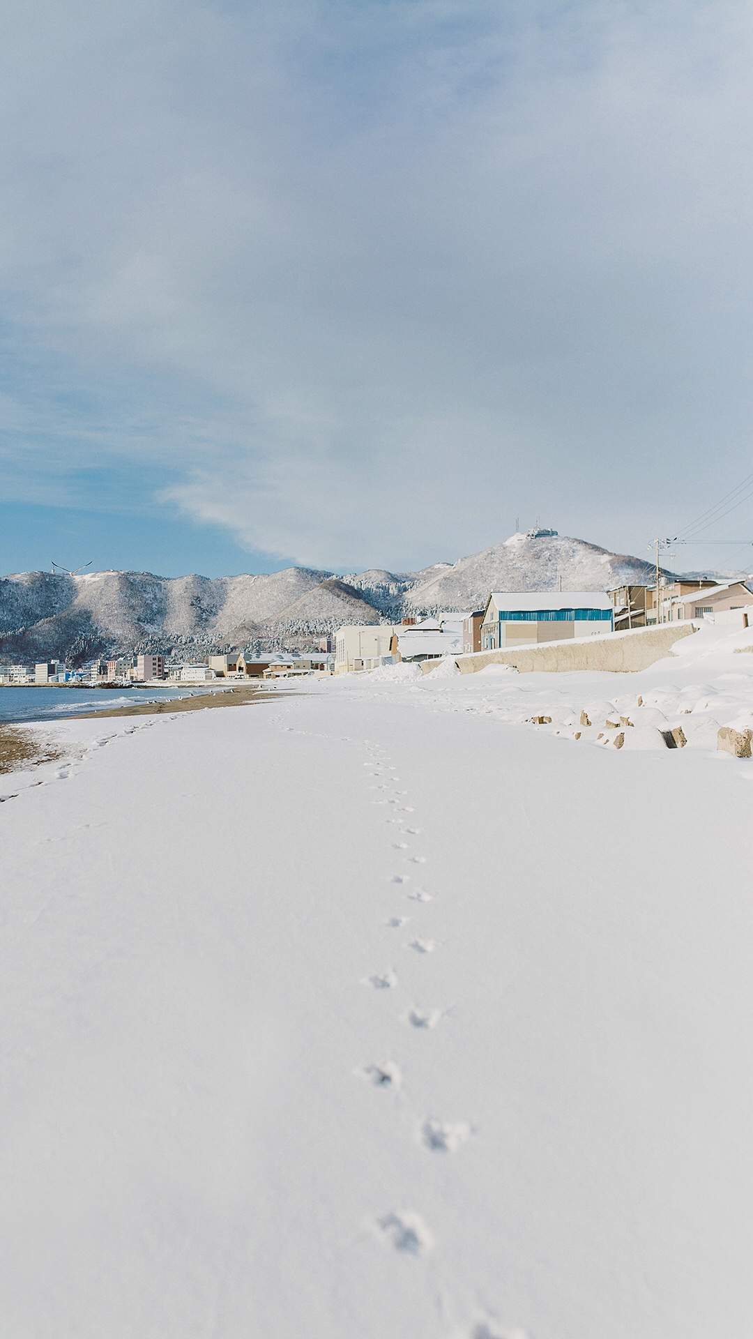 雪景图片