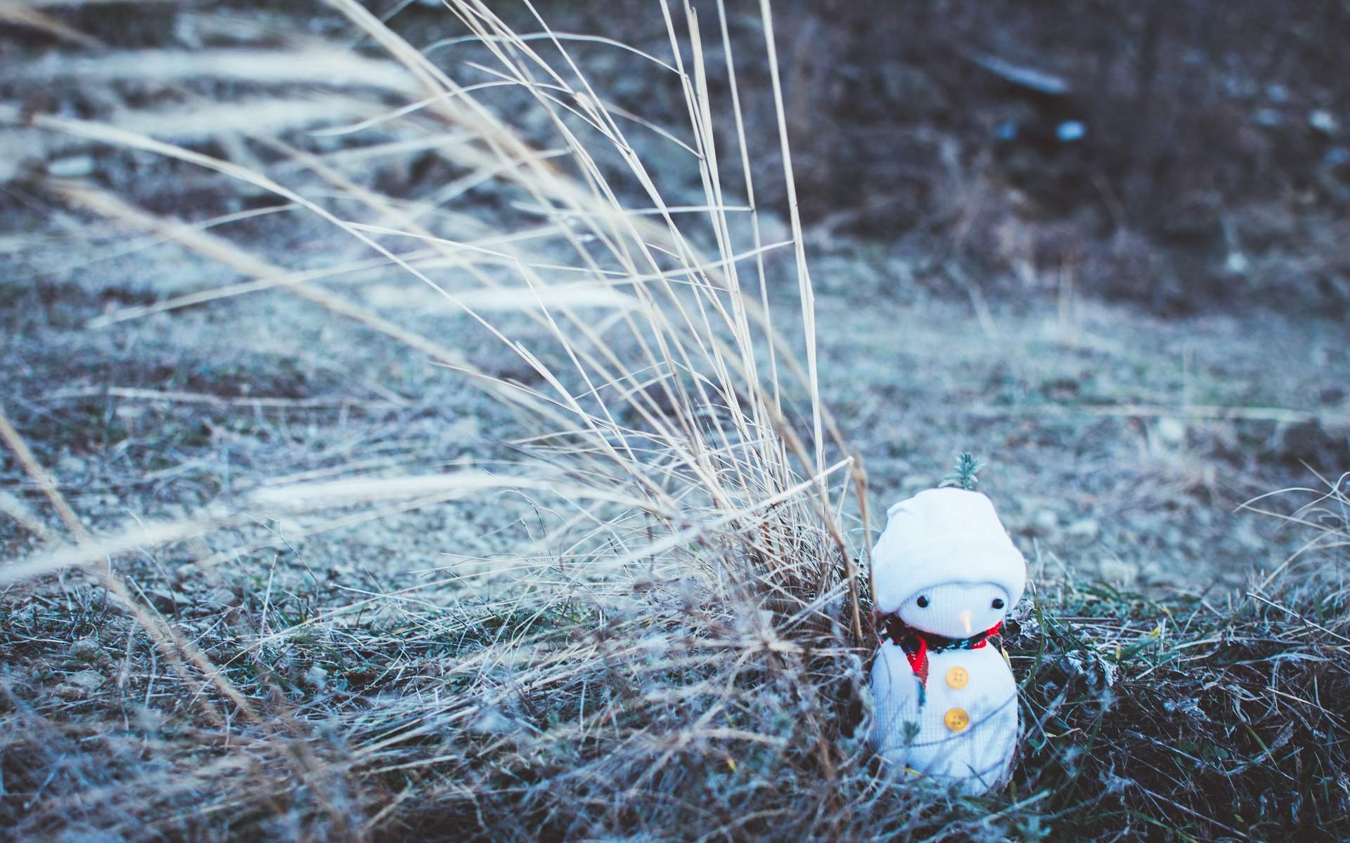 可爱萌系雪人头像图片图片