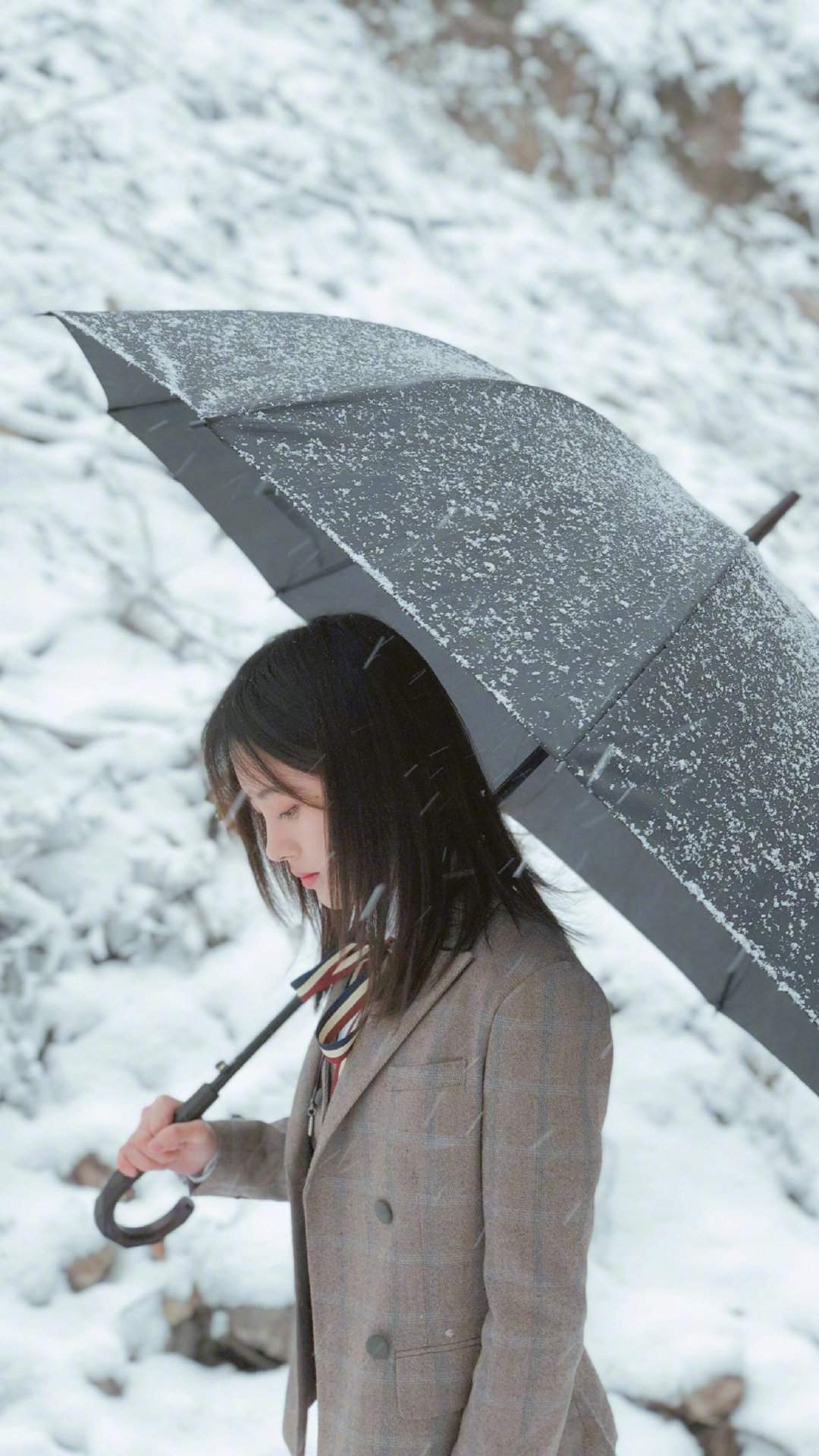 高清四川省遂宁美女鞠婧祎清纯学生装写真图片图片
