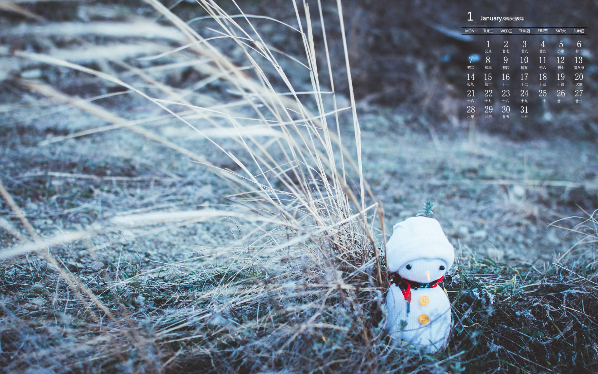 可爱的小雪人图片高清宽屏桌面壁纸图片