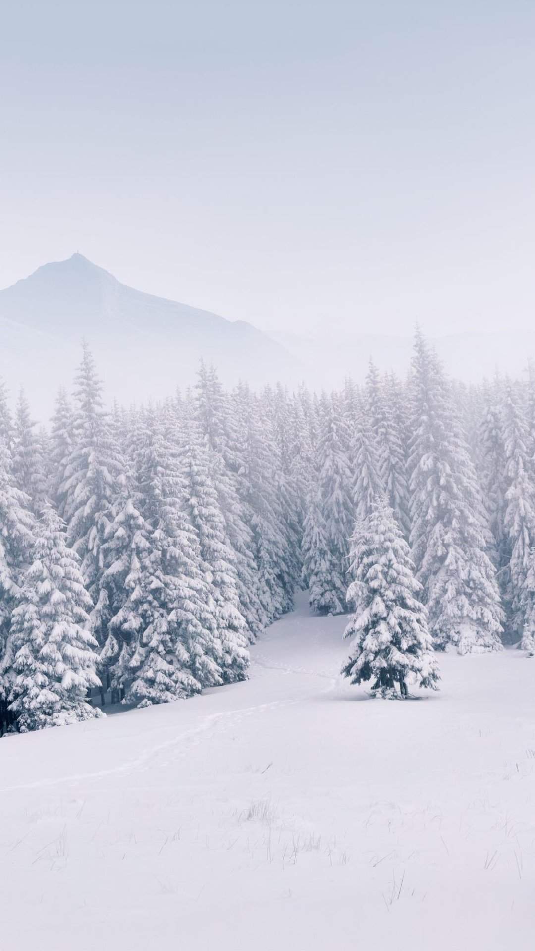 清新唯美雪景图手机壁纸图片