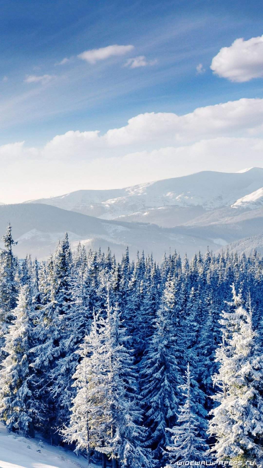 清新唯美雪景图手机壁纸图片