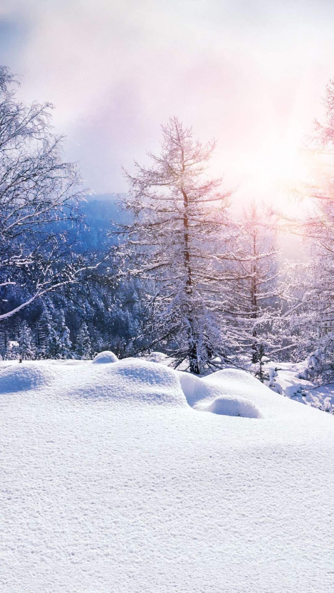 清新唯美雪景图手机壁纸图片