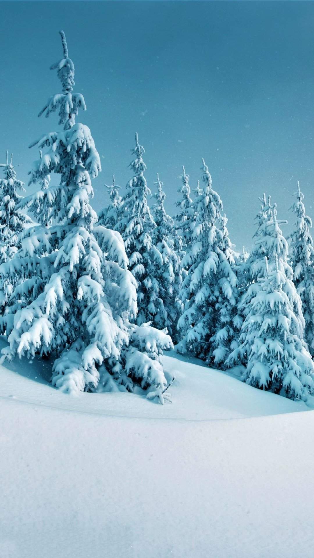 清新唯美雪景图手机壁纸图片