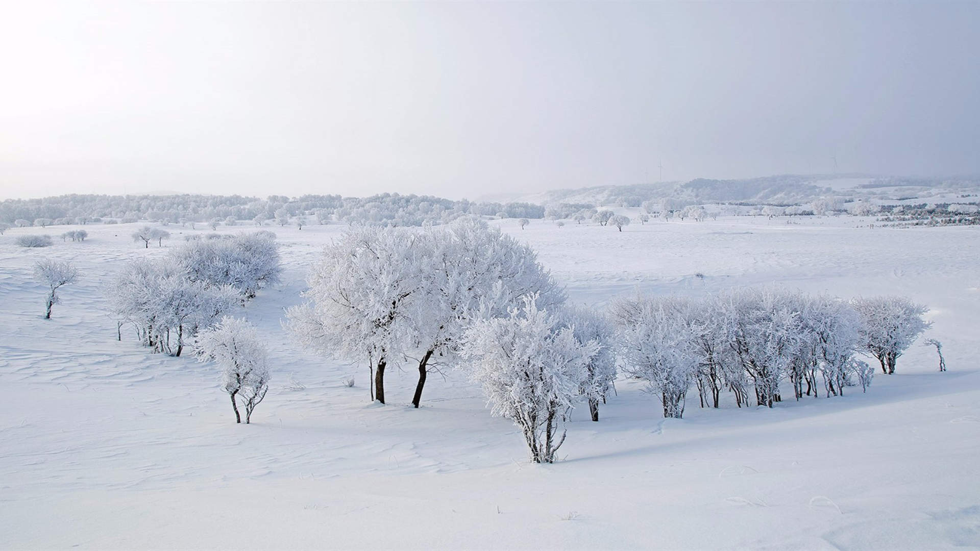 奥地利小镇唯美雪景图片桌面壁纸图片