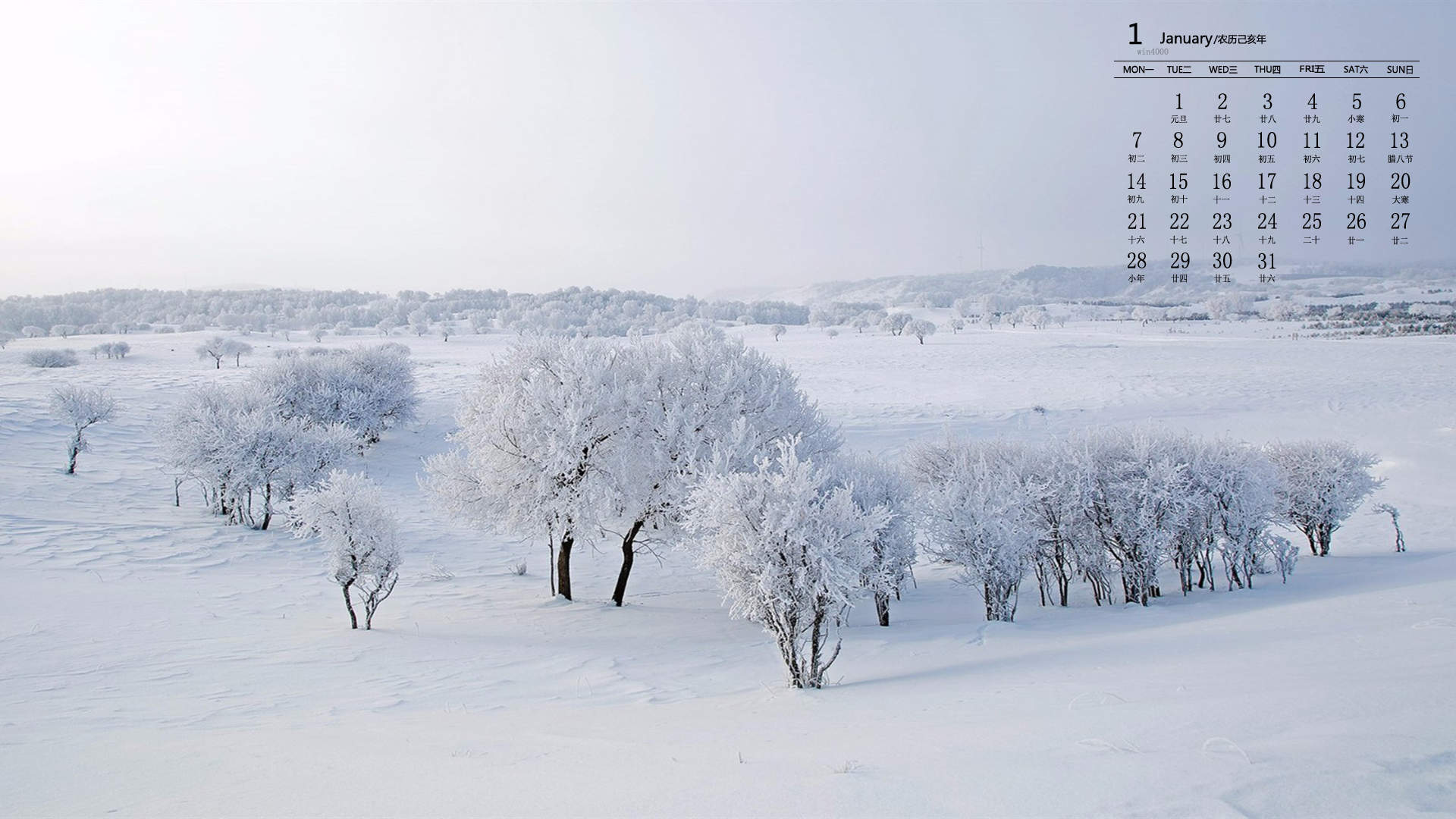 雪景图片