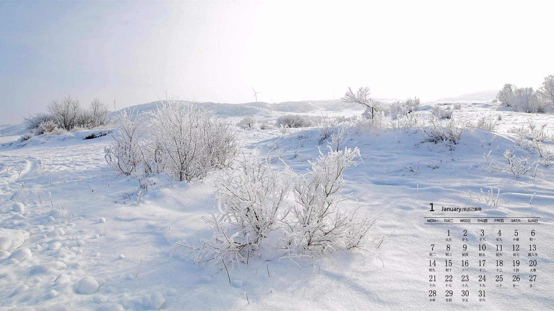 雪景图片