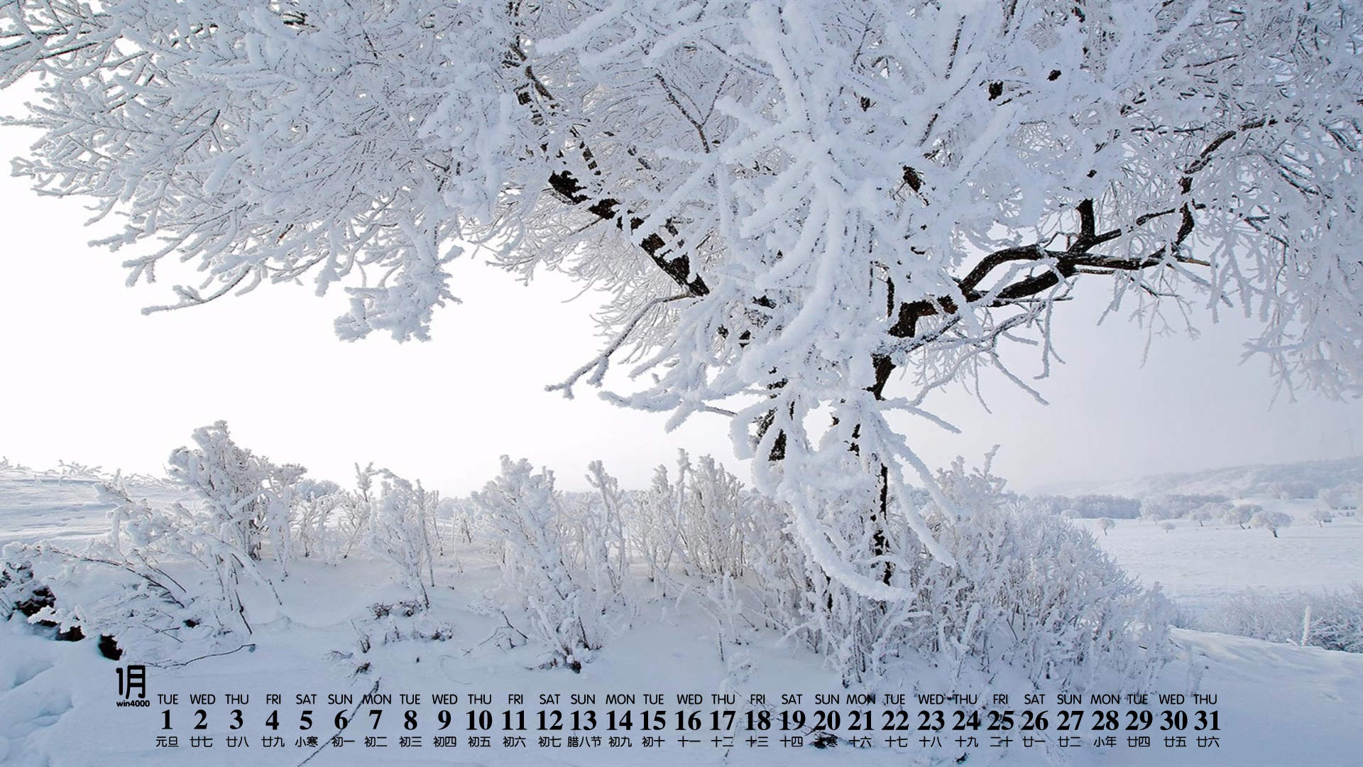 雪景图片