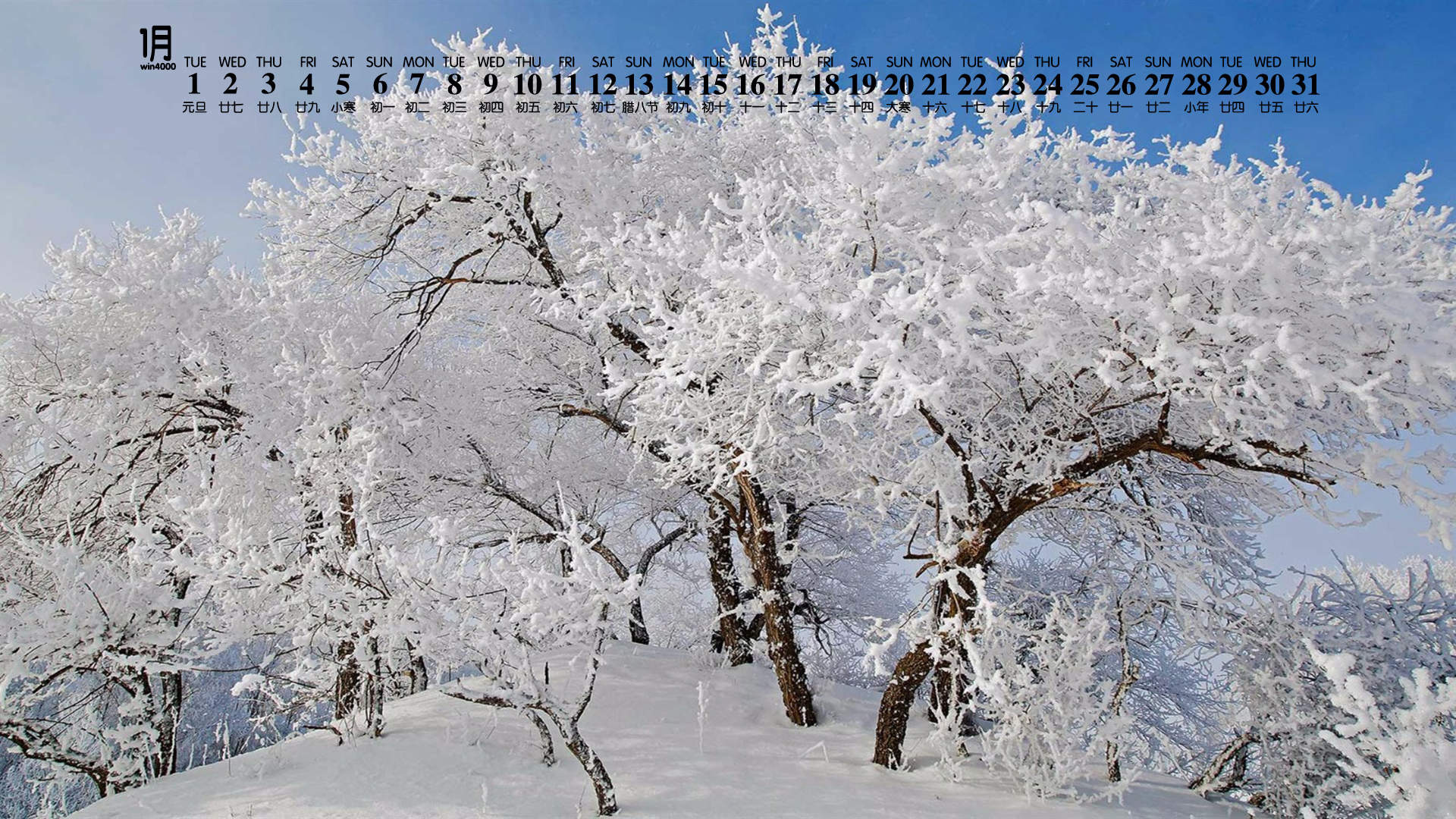 雪景图片